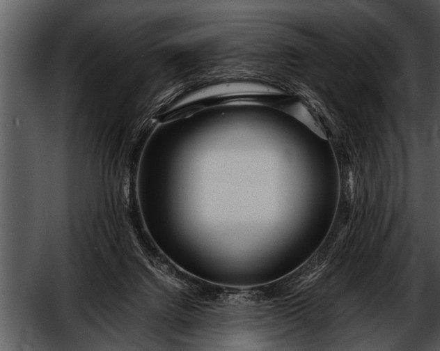 X0000052630072200507160141