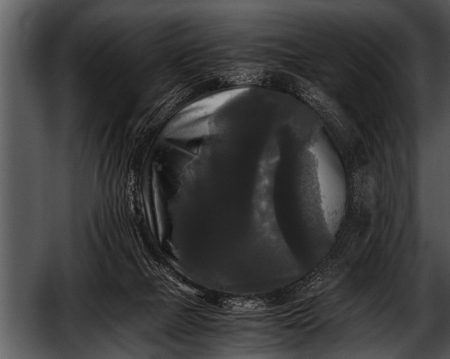 X0000052630073200507160141