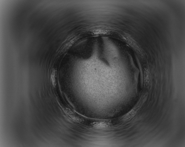 X0000052630074200507160141