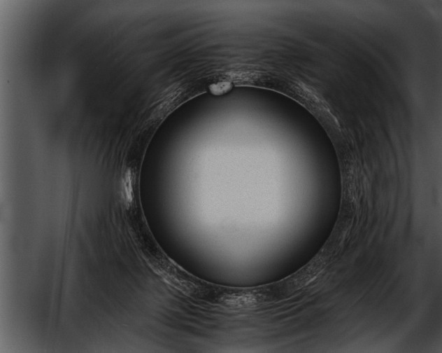 X0000052630075200507160141