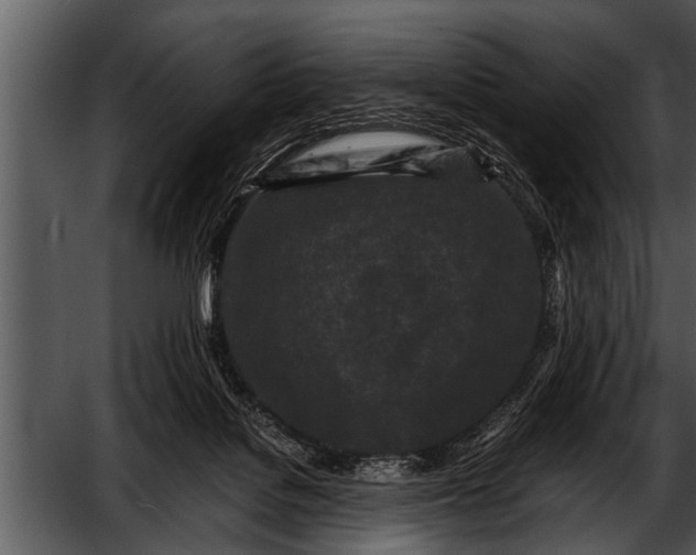 X0000052630076200507160141