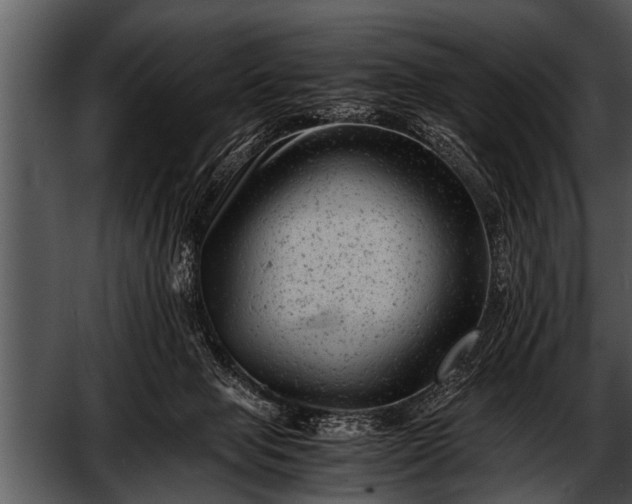 X0000052630077200507160142