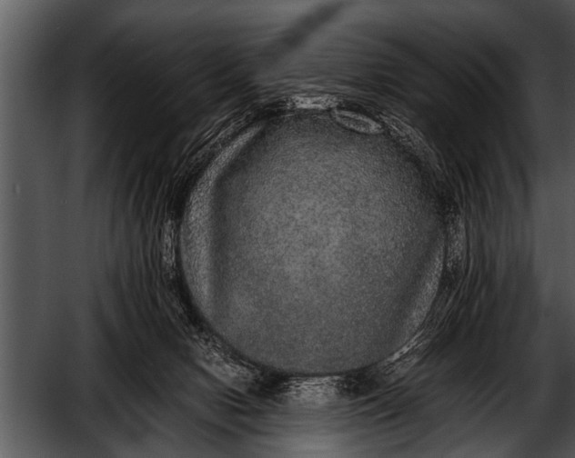 X0000052630078200507160142