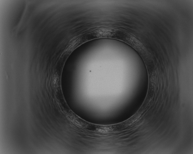 X0000052630079200507160142