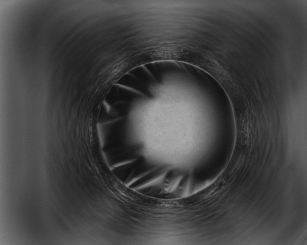 X0000052630080200507160142