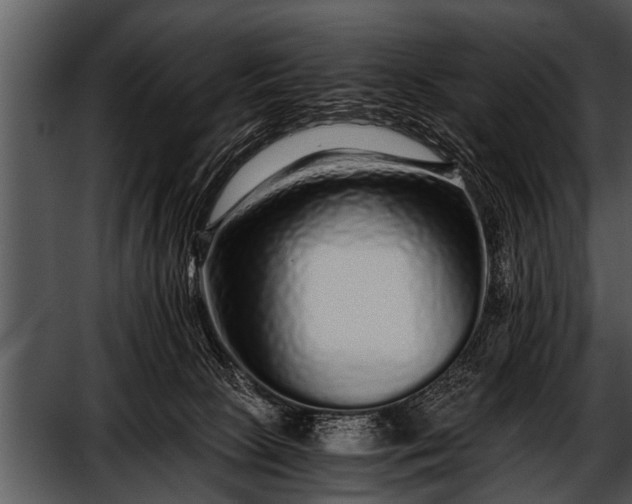 X0000052630081200507160142