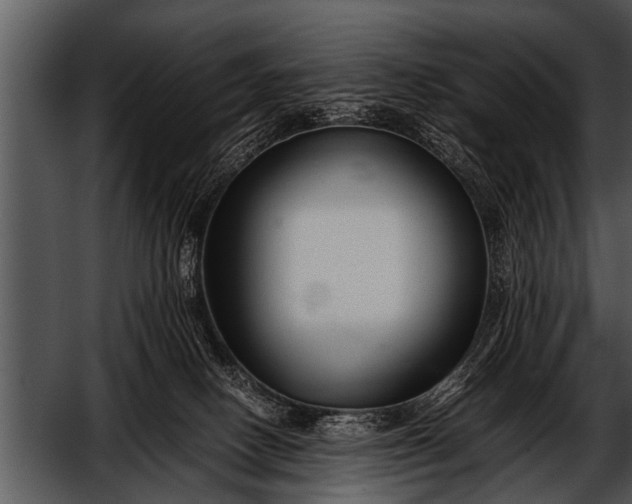 X0000052630082200507160142