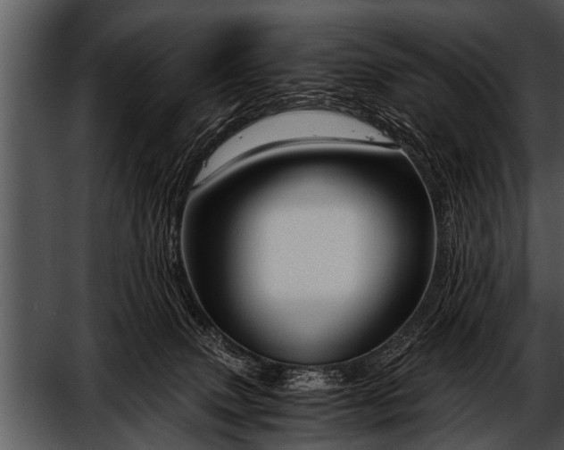 X0000052630083200507160142