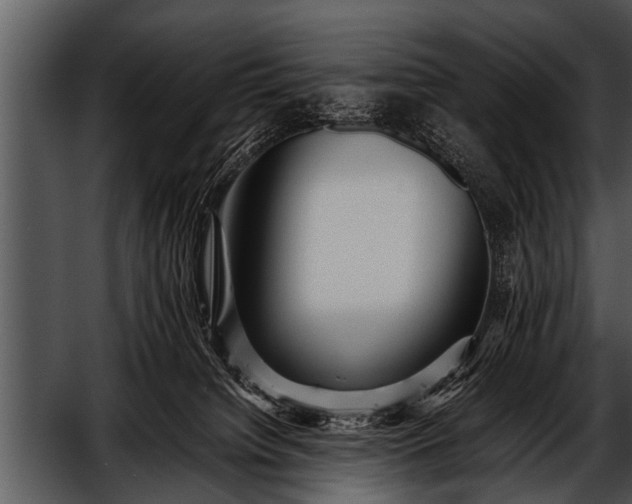 X0000052630084200507160142