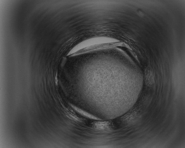 X0000052630085200507160142