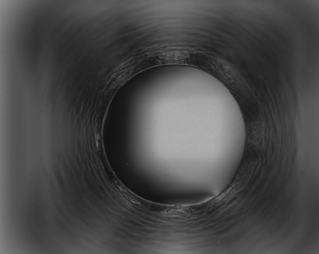 X0000052630086200507160142