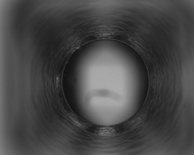 X0000052630087200507160142