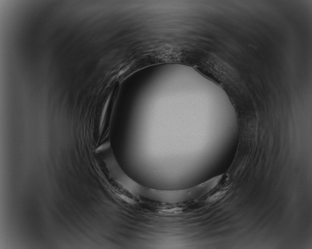 X0000052630088200507160142