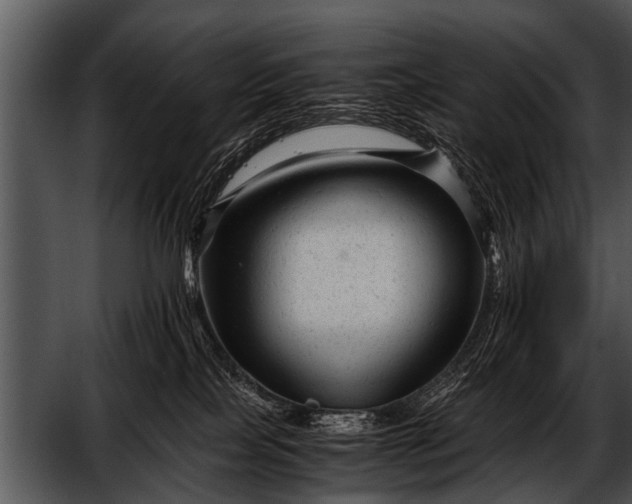 X0000052630089200507160142