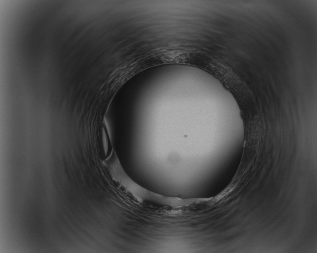 X0000052630090200507160142