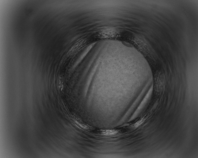 X0000052630091200507160142