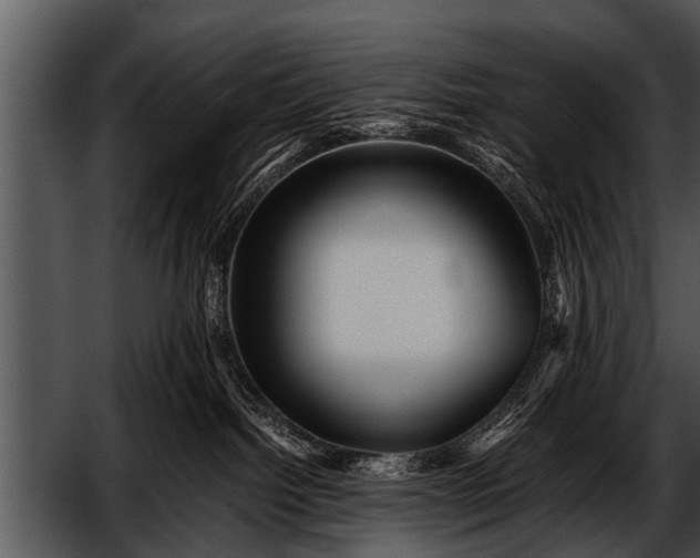 X0000052630092200507160142