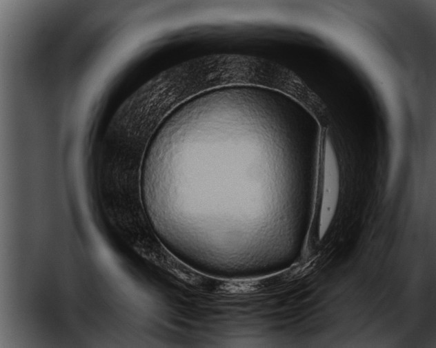 X0000052630093200507160142