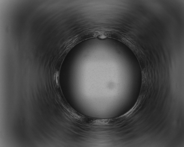 X0000052630094200507160142