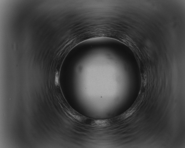 X0000052630095200507160142