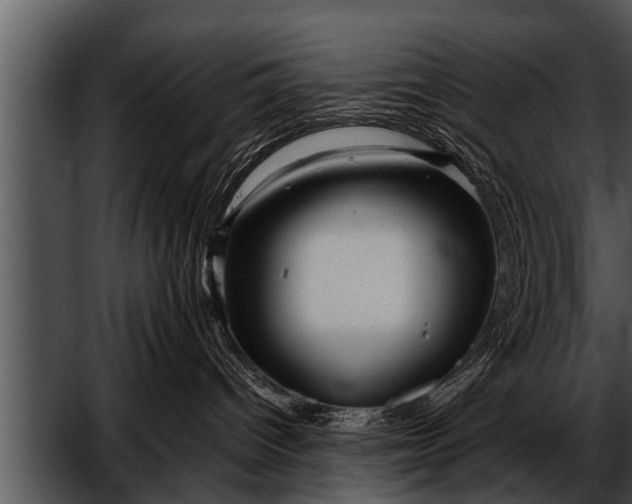 X0000052630096200507160142