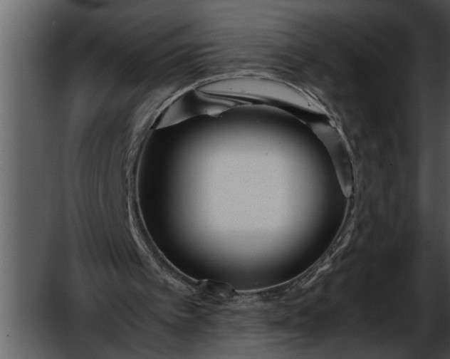 X0000052630097200507160141