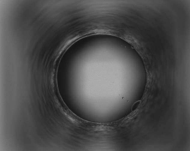 X0000052630098200507160141