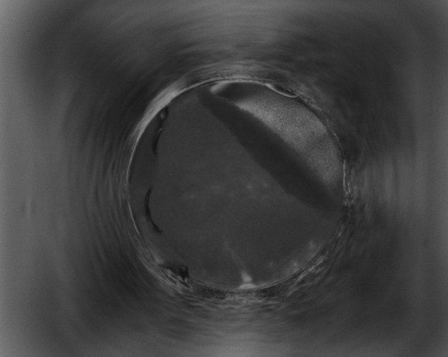 X0000052630099200507160141