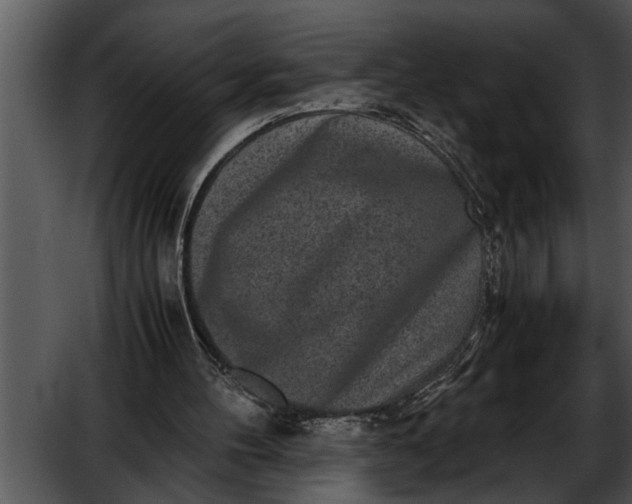 X0000052630100200507160141