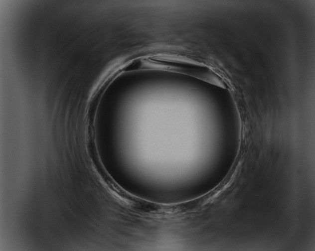 X0000052630101200507160141