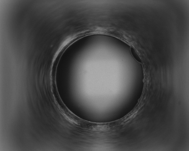 X0000052630102200507160141