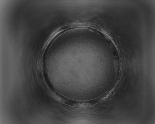 X0000052630103200507160141