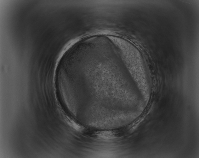 X0000052630104200507160141