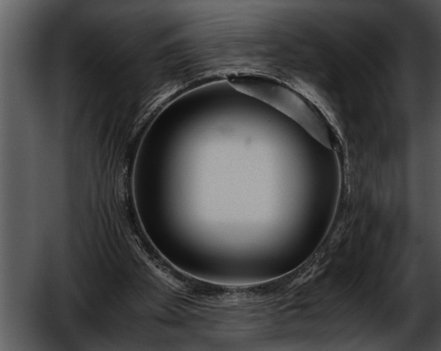 X0000052630105200507160141