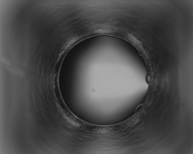 X0000052630106200507160141