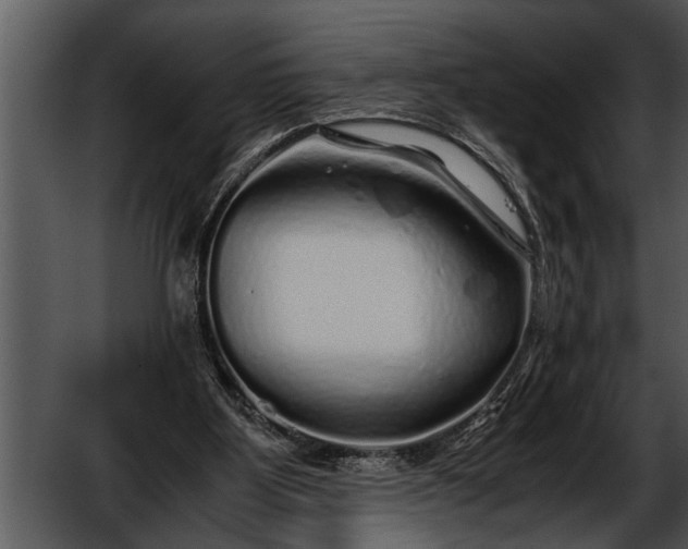 X0000052630107200507160141