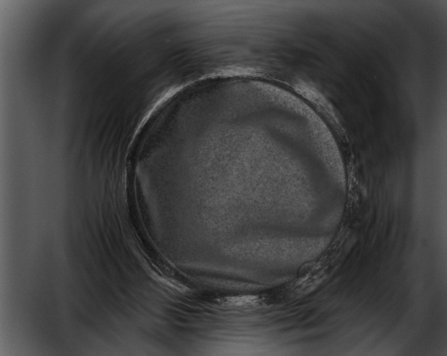 X0000052630108200507160141