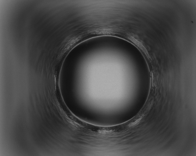 X0000052630109200507160141