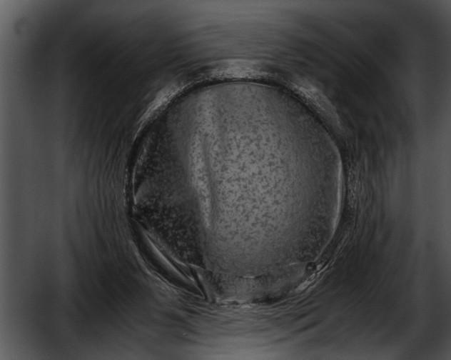 X0000052630111200507160141