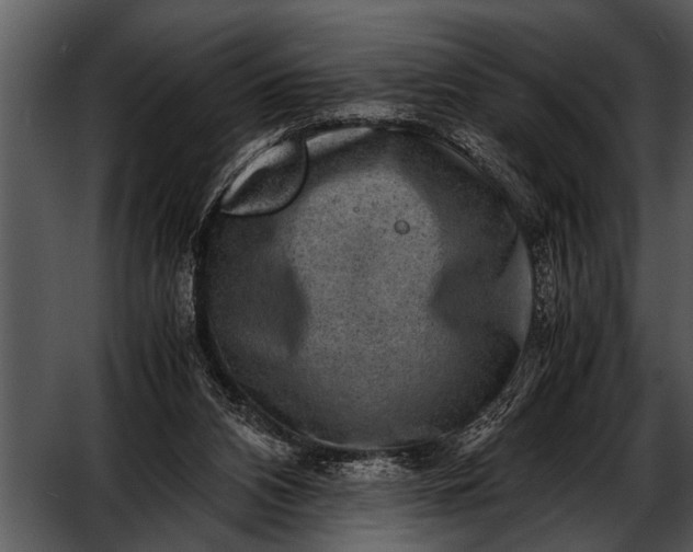 X0000052630112200507160141