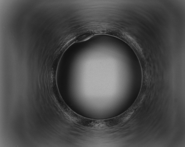 X0000052630113200507160141