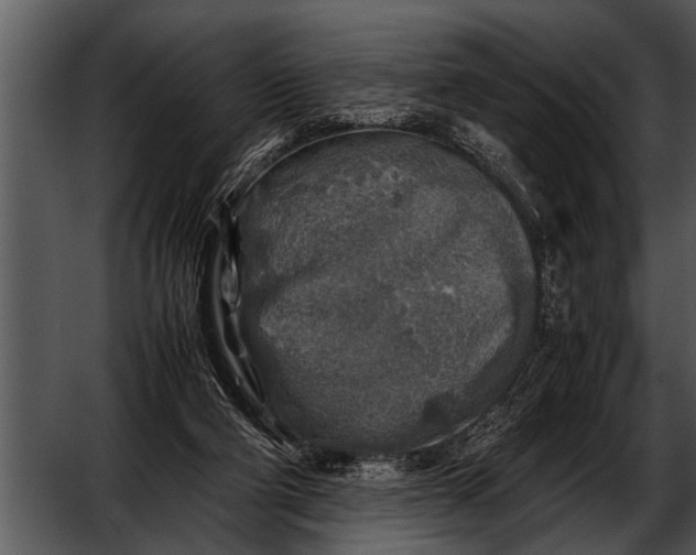 X0000052630114200507160141