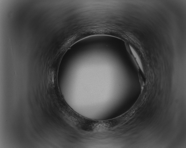 X0000052630115200507160141