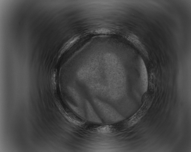 X0000052630116200507160141