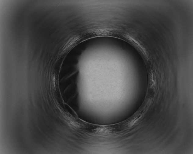 X0000052630117200507160141