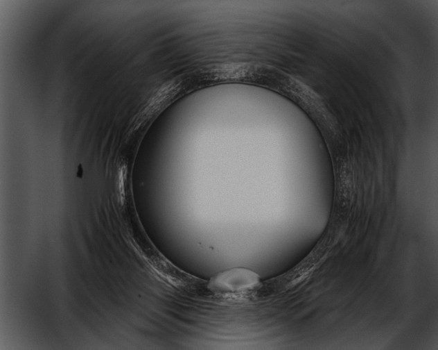 X0000052630118200507160141