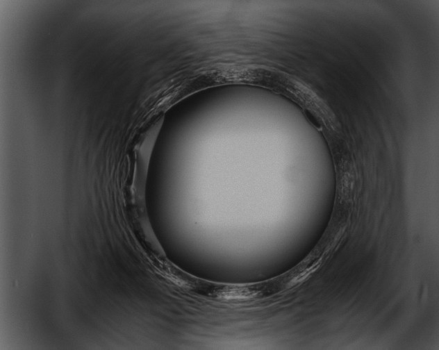 X0000052630121200507160141