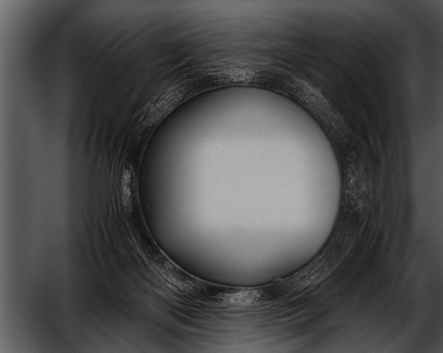 X0000052630122200507160141