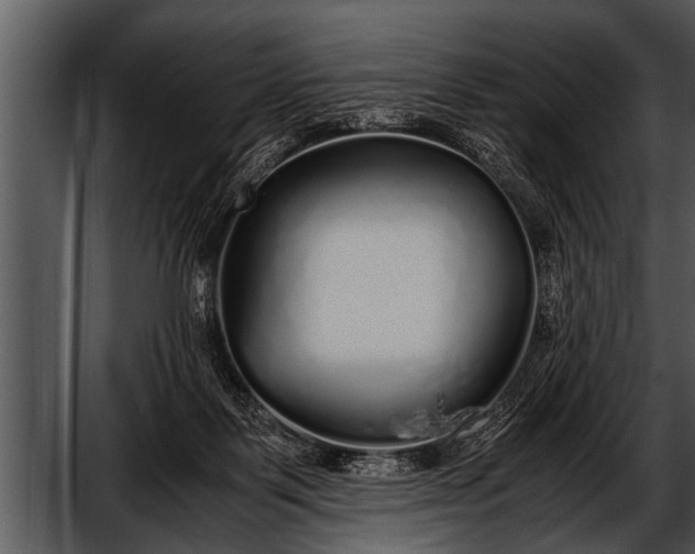 X0000052630123200507160141