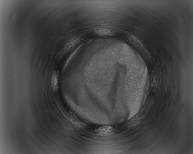 X0000052630124200507160141